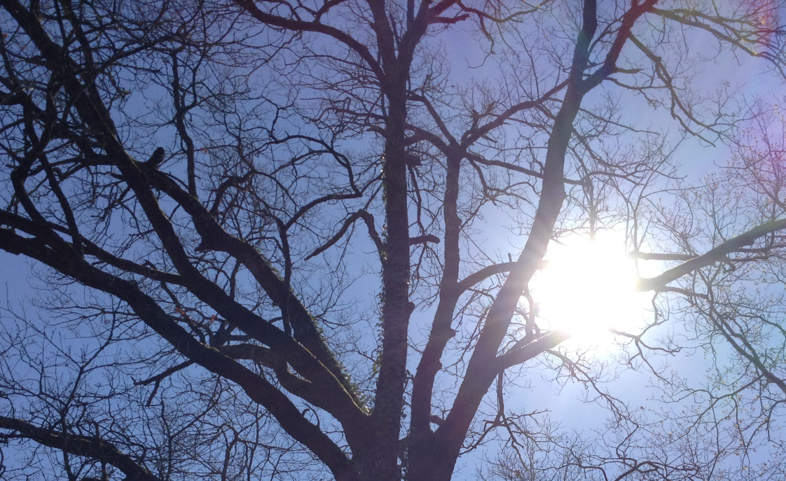 dépression saisonnière